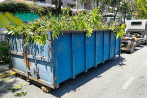 Daiko Container Grünschnitt Bernau bei Berlin